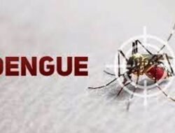 Registaram-se mais de mil casos de dengue entre janeiro e maio