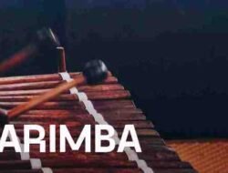 Projeto Marimba dá formação a músicos timorenses