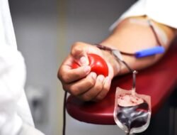 HNGV pede à população para doar sangue